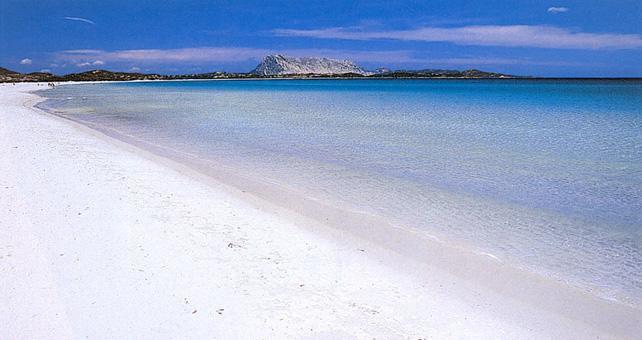 Le Sughere Padru Εξωτερικό φωτογραφία
