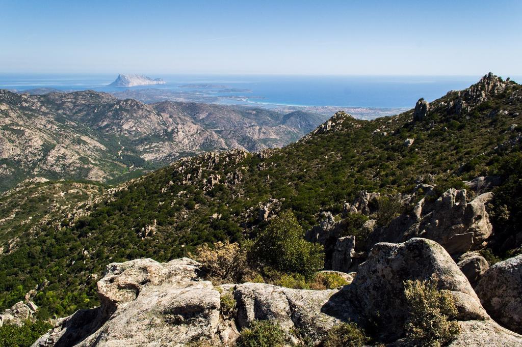 Le Sughere Padru Εξωτερικό φωτογραφία