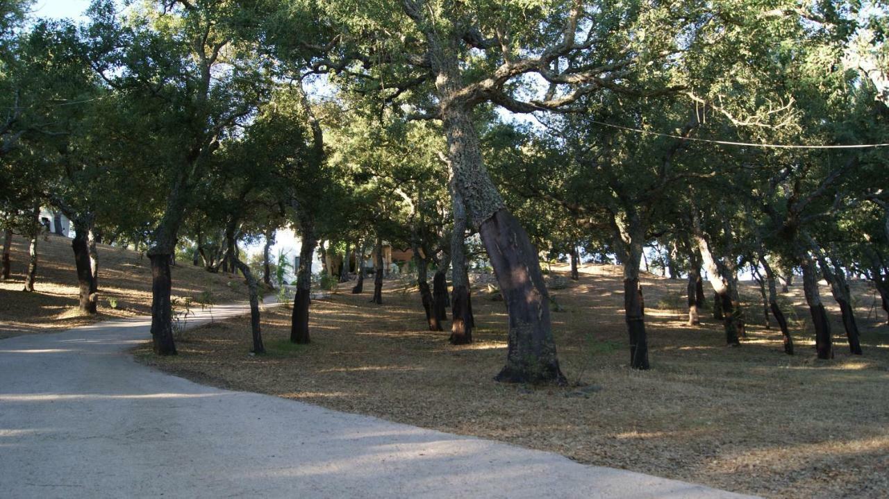 Le Sughere Padru Εξωτερικό φωτογραφία