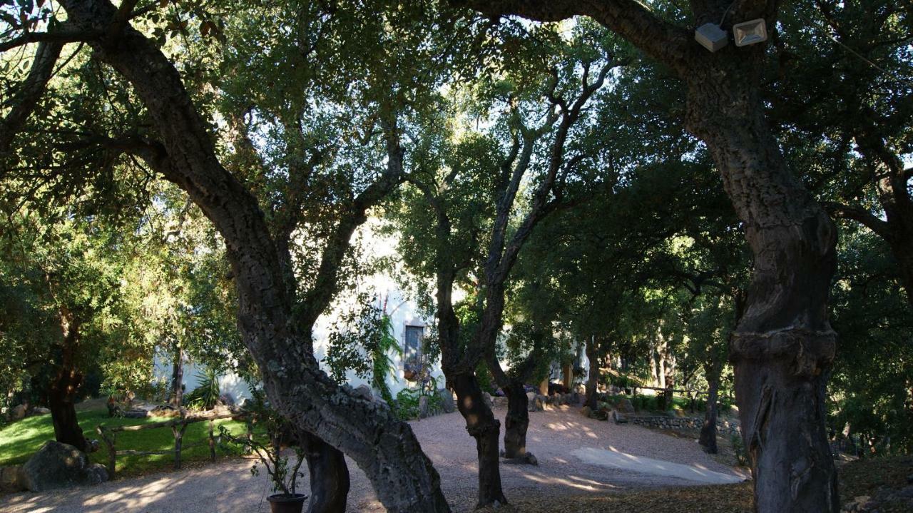 Le Sughere Padru Εξωτερικό φωτογραφία