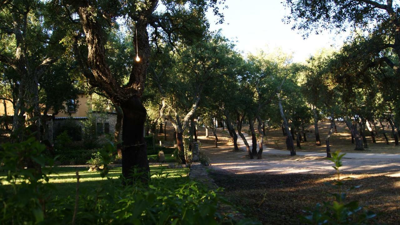 Le Sughere Padru Εξωτερικό φωτογραφία
