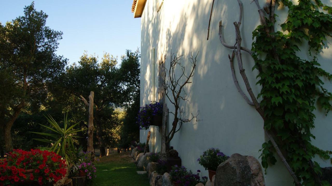 Le Sughere Padru Εξωτερικό φωτογραφία
