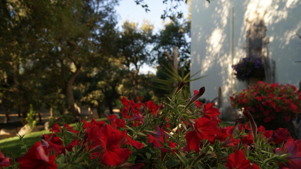 Le Sughere Padru Εξωτερικό φωτογραφία