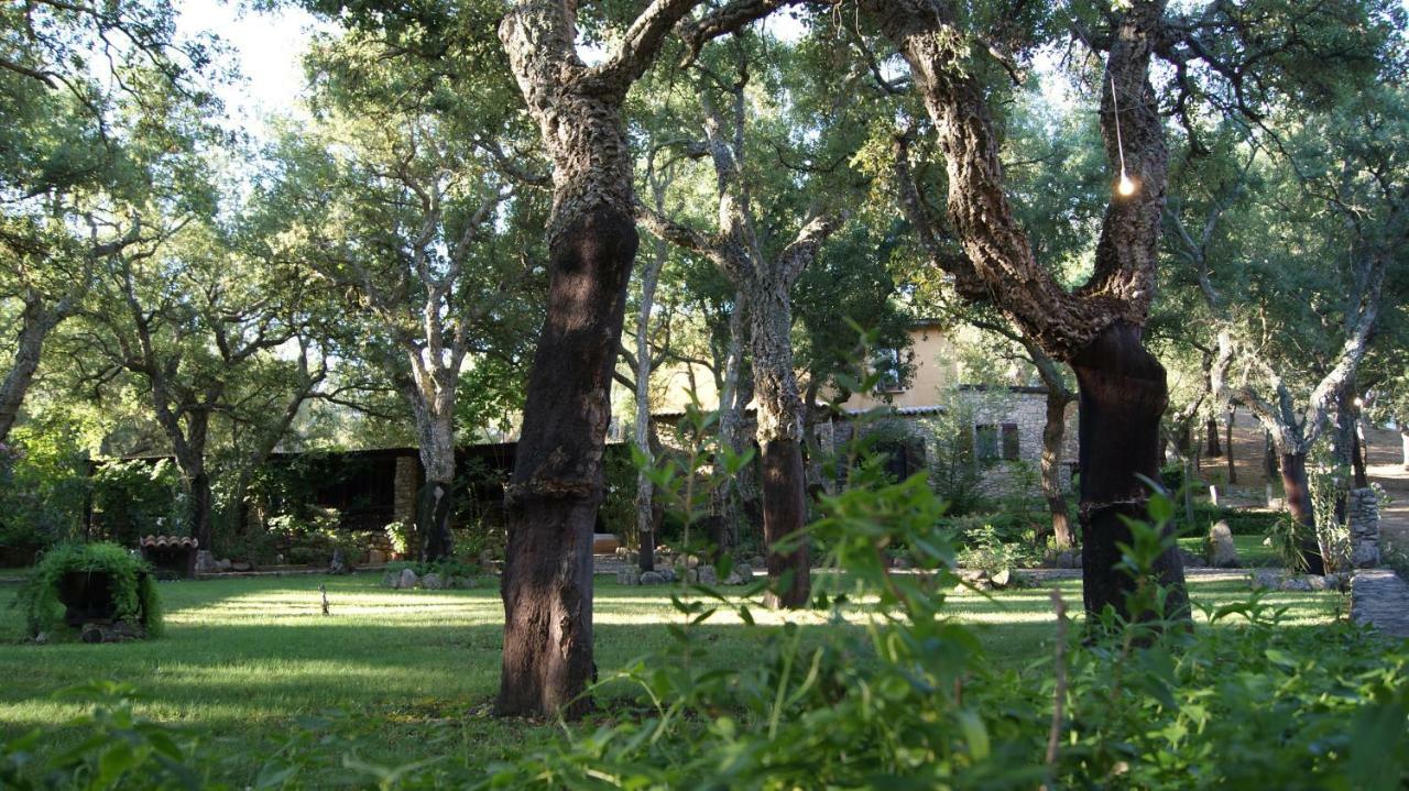 Le Sughere Padru Εξωτερικό φωτογραφία